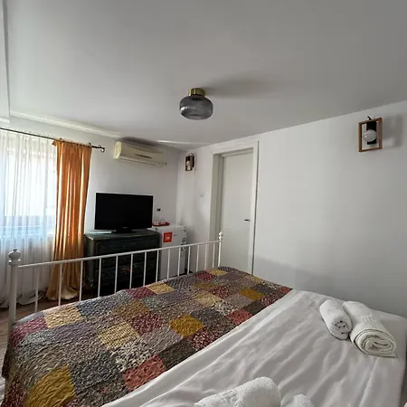 Vila Speranta Pleşcoi Zimmer foto