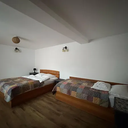 Vila Speranta Pleşcoi Zimmer foto