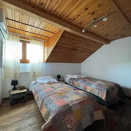 Vila Speranta Pleşcoi Zimmer foto