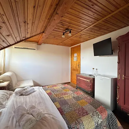 Vila Speranta Pleşcoi Zimmer foto