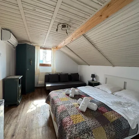 Vila Speranta Pleşcoi Zimmer foto